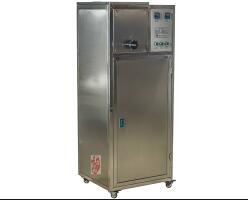 DW-1��ʵо�����